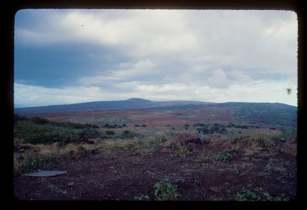 Pu'u Moiwi