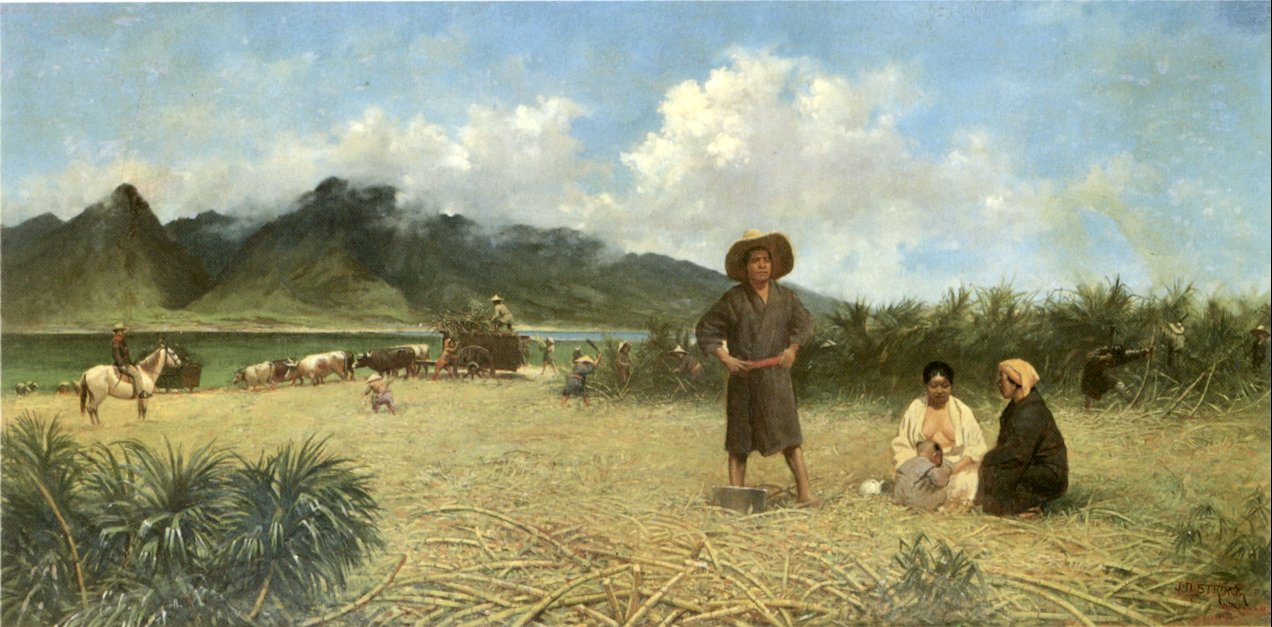 1885 Maui sugarcane plantation
